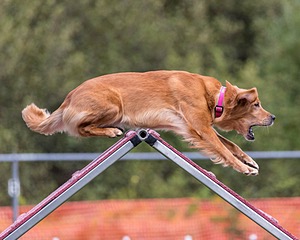 20200819-2345.jpg