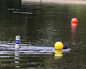 20210912-MWD-0235.jpg