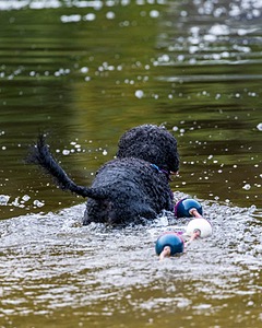 20210912-MWD-0074.jpg