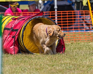 20190615-CCKC-1059.jpg
