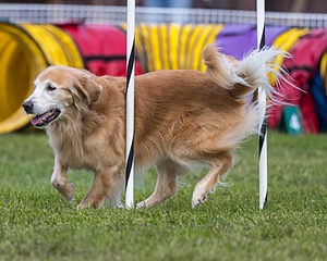 20230917-PVKC-2793.jpg