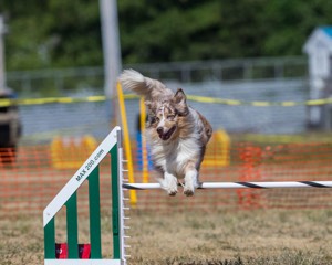 Keebler Derby
