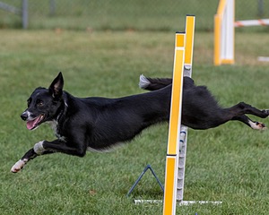 20200819-0240.jpg