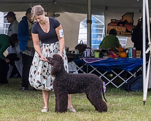 24 - POOLE'S IDE MODERN LOVE CGC (Remi)