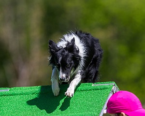 20170521-NEAT-0399.jpg