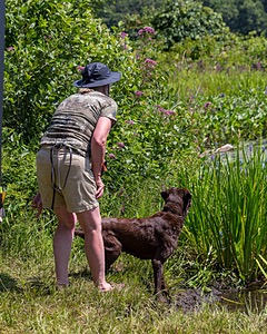 20190804-SHW-0015.jpg