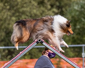 20200819-2322.jpg