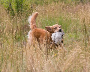 20130713-SHL-0971.jpg