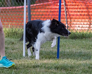 20200819-3020.jpg