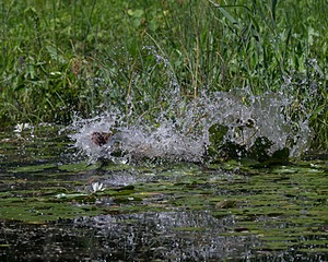 20130810-JHW-0005.jpg