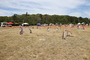 20150614-CCKCMC-0120.jpg