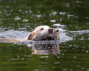 20130713-MHB2-0288.jpg