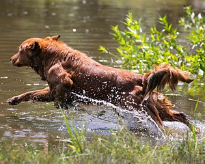 20130714-MHB2-0091.jpg
