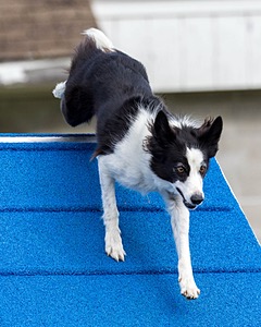 20230917-PVKC-2753.jpg