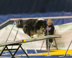 20150321-LEAP-1299.jpg