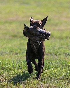 20140809-JHL-0097.jpg