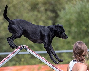 20200819-2373.jpg