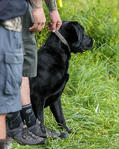 Enzo Ehrhorn