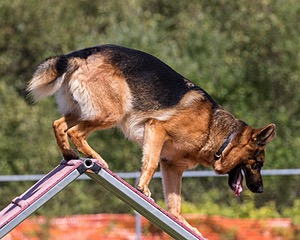 20200819-2219.jpg