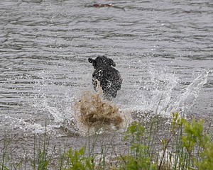 20080531-HRW-0466.jpg