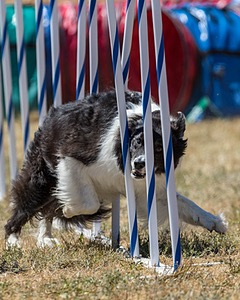20160618-CCKC-1789.jpg