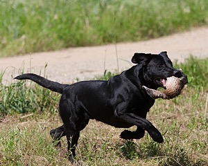 20130602-SEAL-0208.jpg