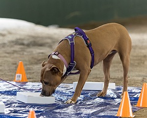 20260718-NSKC-0154.jpg