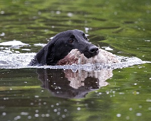 20130713-MHB2-0174.jpg
