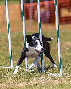 20180617-1015.jpg