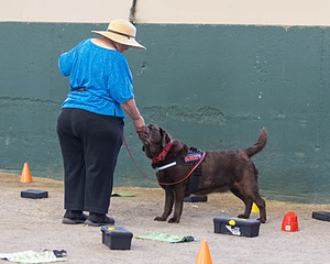 20260718-NSKC-0635.jpg