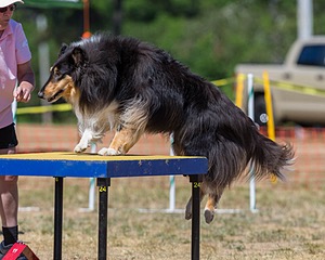 20160619-CCKC-1576.jpg