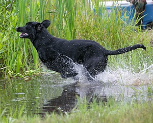 20130713-MHB2-0042.jpg