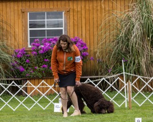 2304 - GCH CH BREKKON'S FIRST MARK BN RN CGC TKN