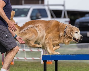 20230917-PVKC-2829.jpg