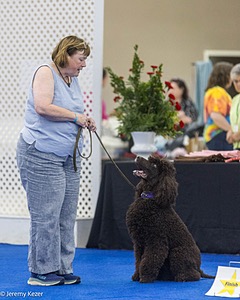 R15 - GCH CH LANDACRE'S NORDIC SAILOR DN CGC TKI