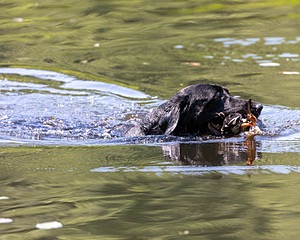 20210606-SEAW-1277.jpg