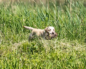 20210606-FINW-0249.jpg
