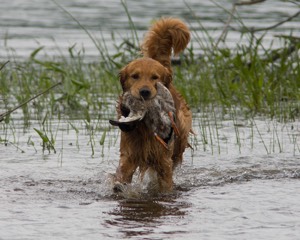 20080531-HRW-0293.jpg