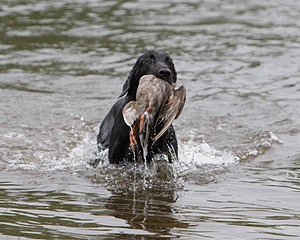 20080531-HRW-0923.jpg