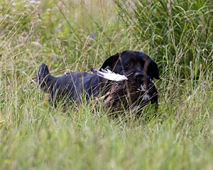 20230805-SHL-0333.jpg