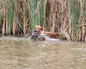 20150913-SEAW-0632.jpg