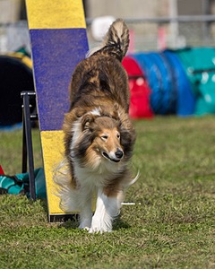 20220918-PVKC-0699.jpg
