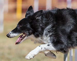 20160619-CCKC-0484.jpg
