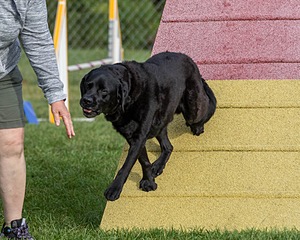 20200819-0184.jpg