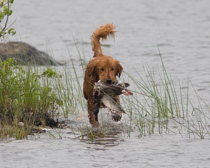 20080531-HRW-0764.jpg