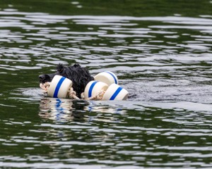 Boaty Bellicose