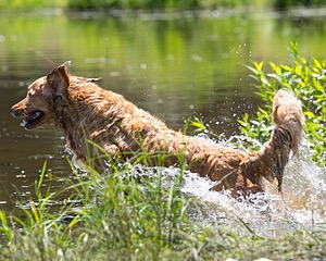 20130714-MHB2-0056.jpg