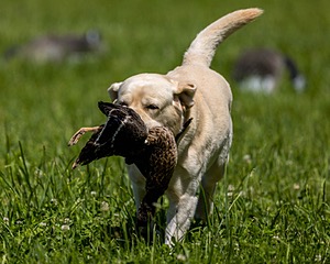 20220605-FINL-1606.jpg