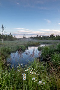 20180708-1017.jpg