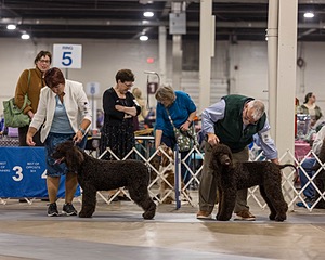 20251122-0053.jpg